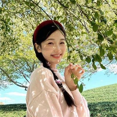 杜宾巡官：布列塔尼的秘密